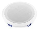 Głośnik sufitowy CSAG8T 100V 8,0"Al.